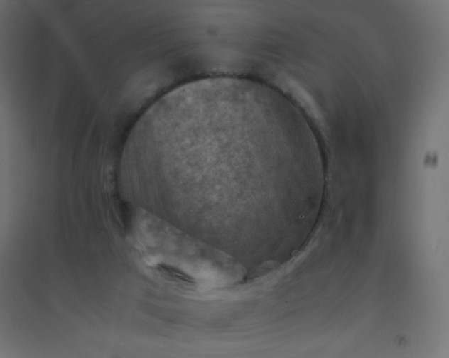 X0000094450017200711211528