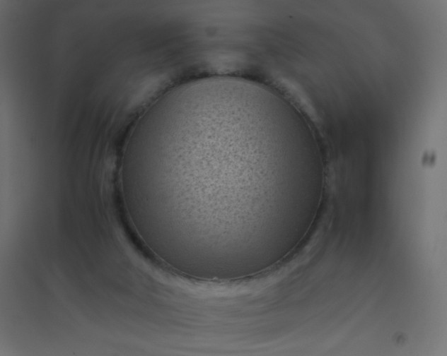 X0000094450018200711211528