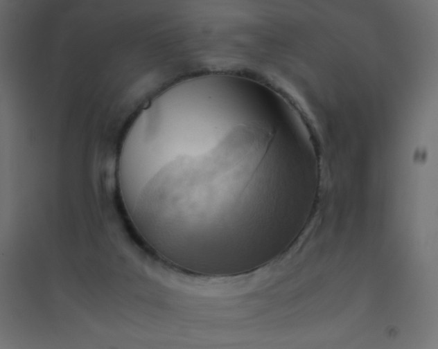 X0000094450019200711211528