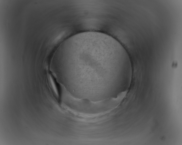 X0000094450021200711211528