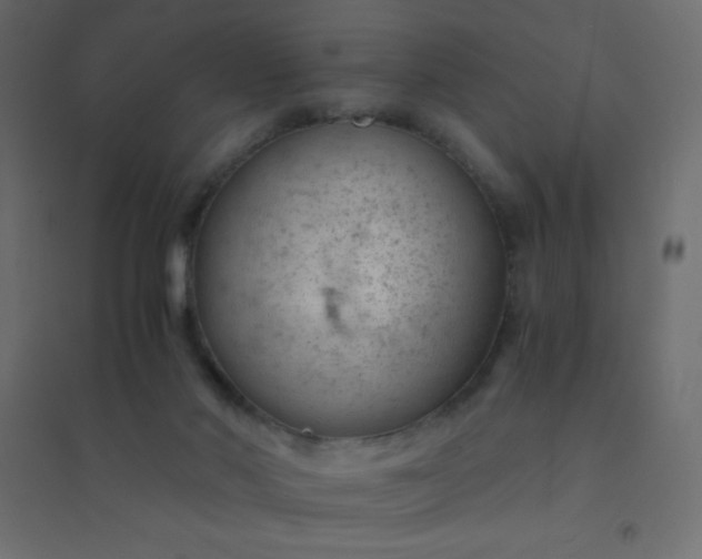 X0000094450022200711211528