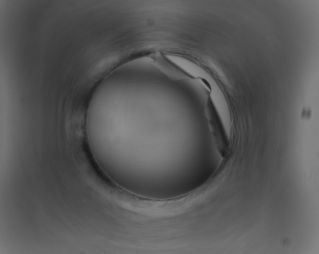 X0000094450023200711211528