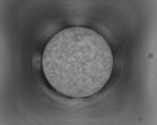 X0000094450024200711211528