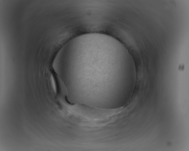 X0000094450025200711211528