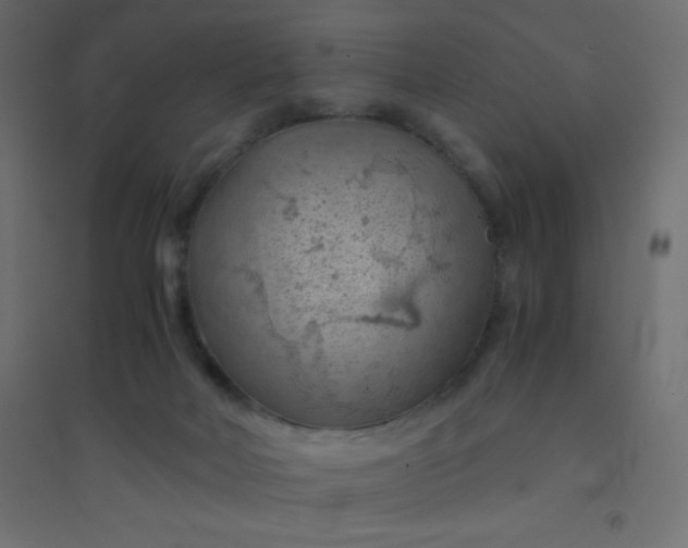 X0000094450026200711211528