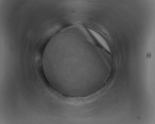 X0000094450029200711211528