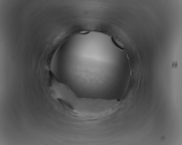 X0000094450031200711211528