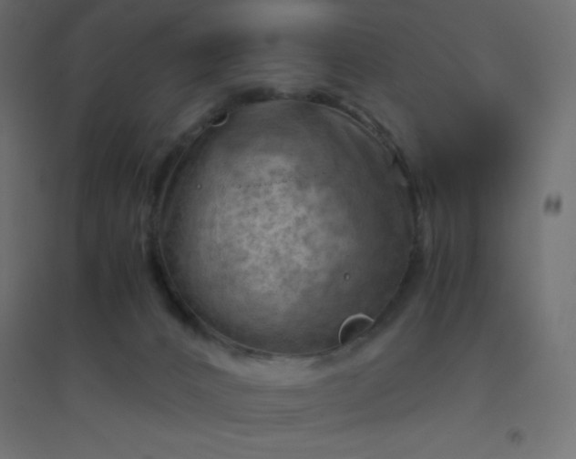 X0000094450032200711211528