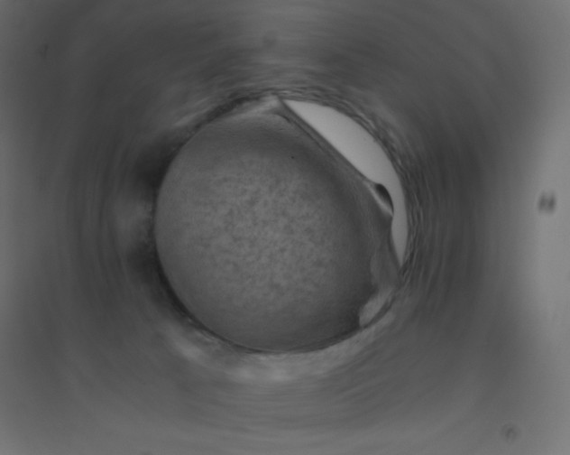 X0000094450033200711211528