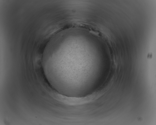 X0000094450034200711211528