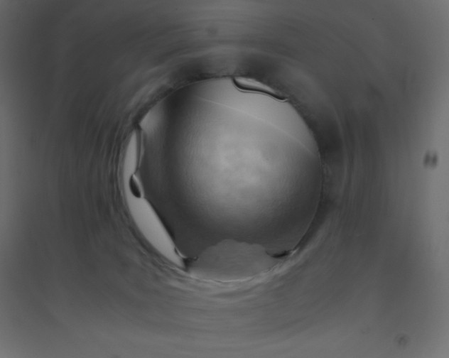 X0000094450035200711211528