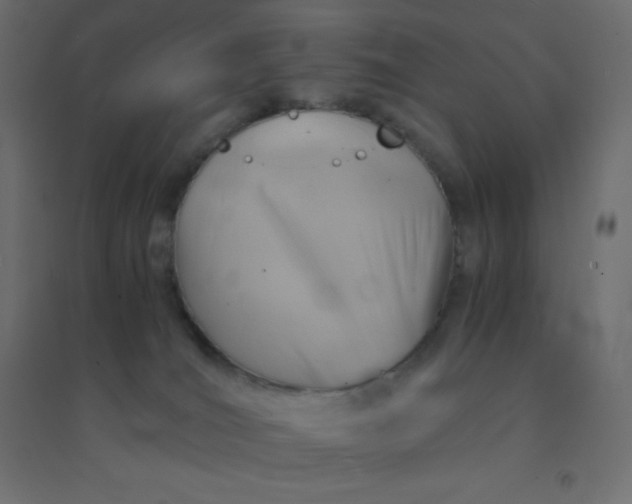 X0000094450036200711211528