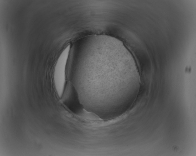 X0000094450037200711211528