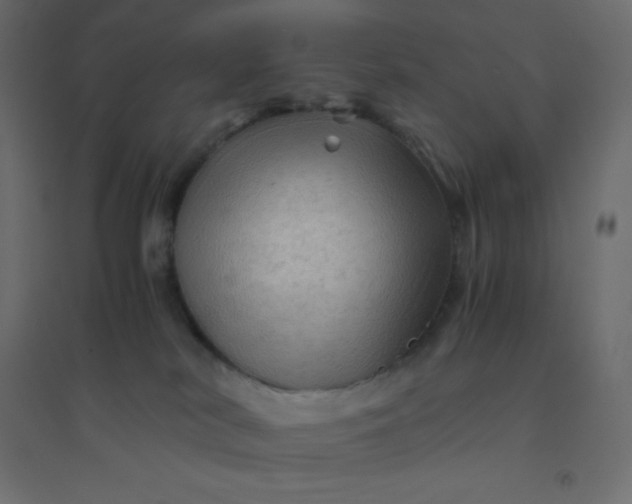 X0000094450038200711211528