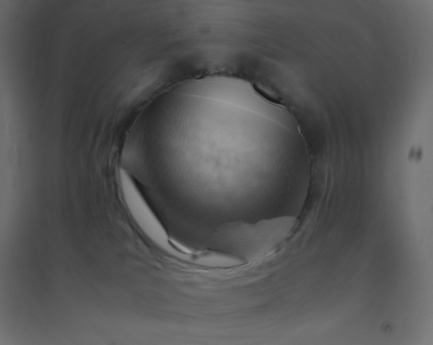 X0000094450039200711211528