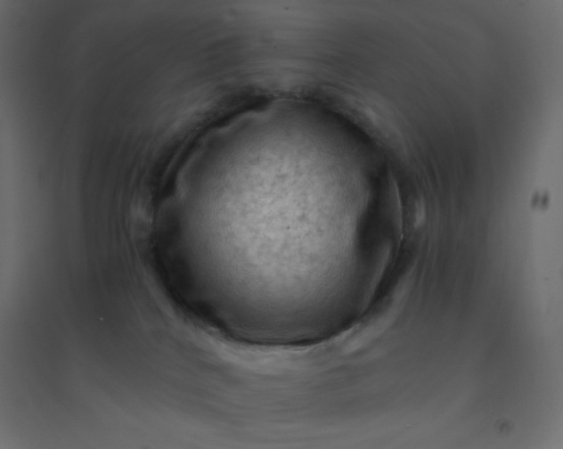 X0000094450040200711211528