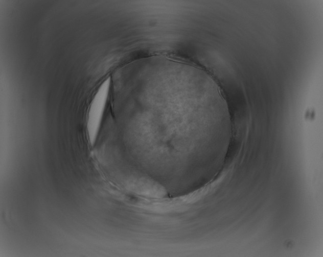 X0000094450041200711211528