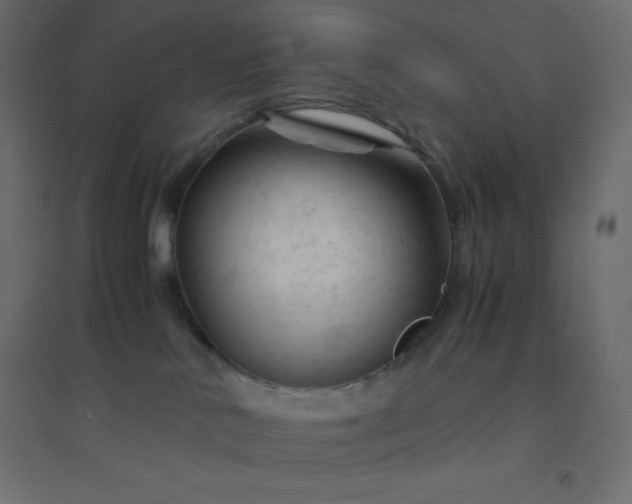 X0000094450042200711211528