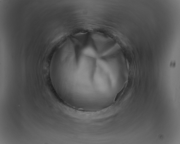 X0000094450043200711211528