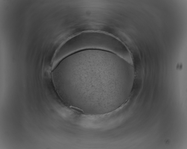 X0000094450045200711211528