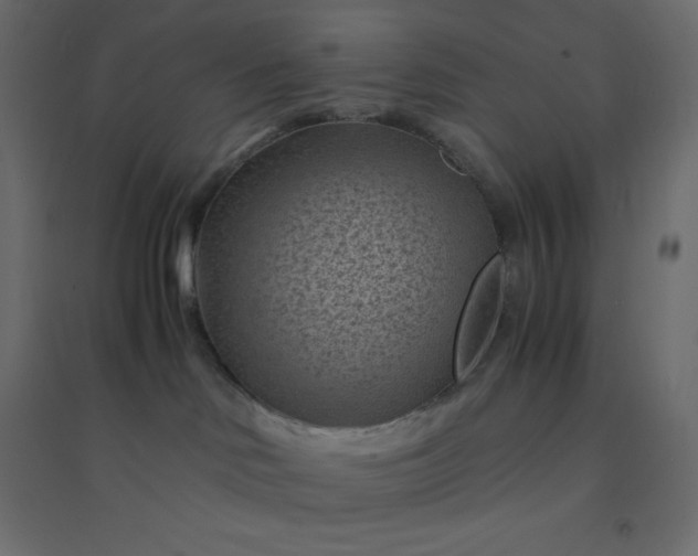 X0000094450046200711211528