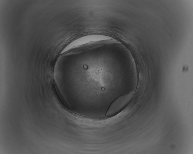 X0000094450048200711211528