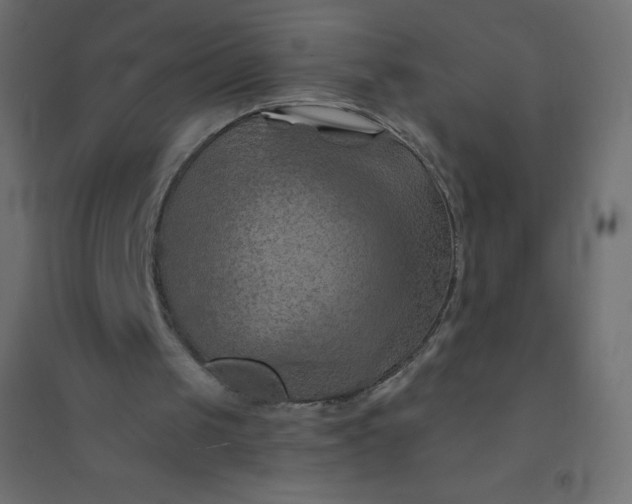 X0000094450049200711211527