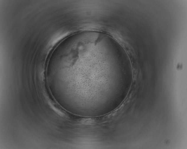 X0000094450050200711211527