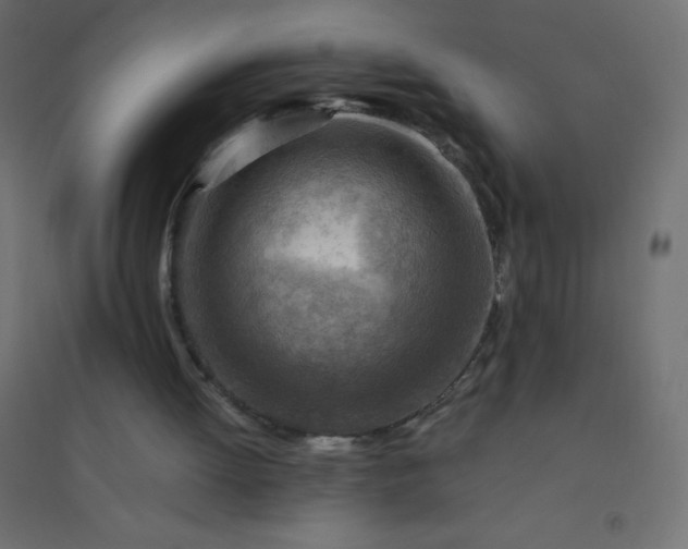 X0000094450052200711211527