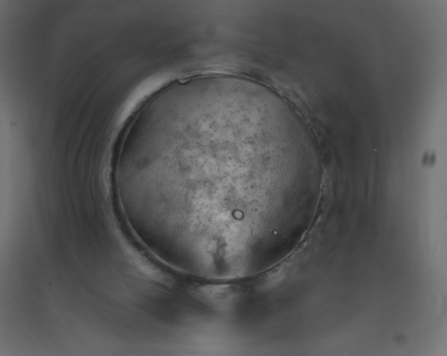 X0000094450054200711211527