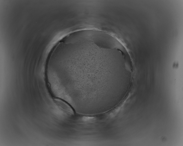 X0000094450055200711211527