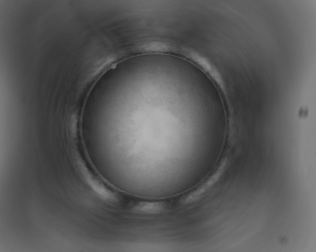 X0000094450057200711211527