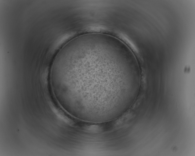 X0000094450058200711211527