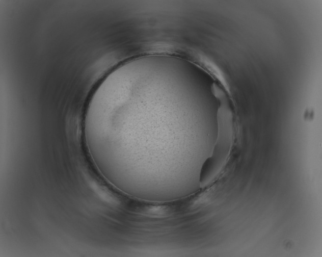 X0000094450059200711211527