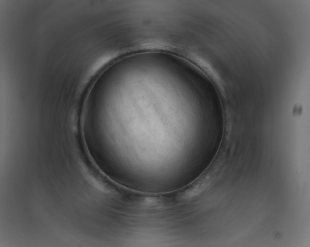 X0000094450060200711211527