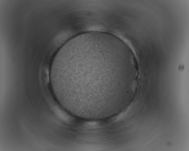 X0000094450061200711211527