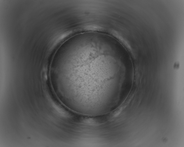 X0000094450062200711211527