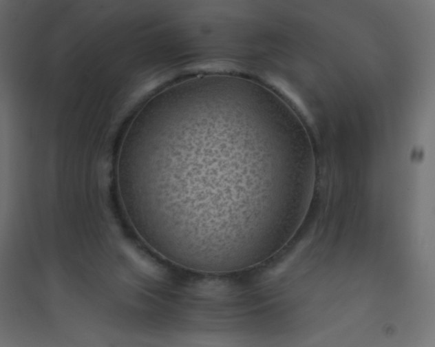 X0000094450063200711211527