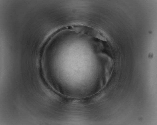 X0000094450064200711211527