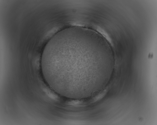 X0000094450065200711211527