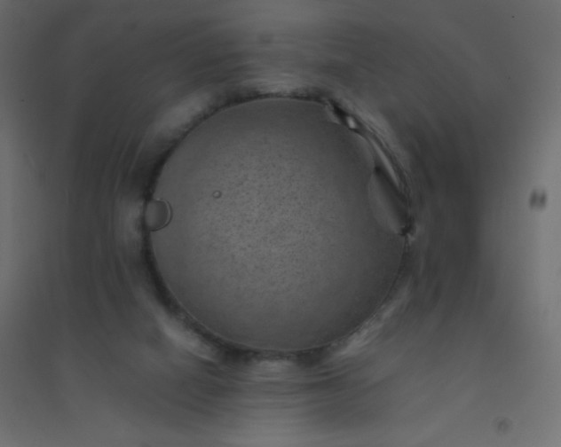 X0000094450066200711211528