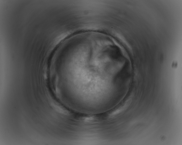 X0000094450068200711211528