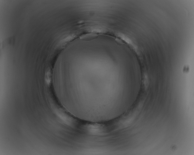 X0000094450069200711211528