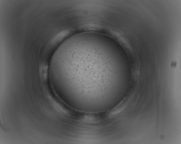 X0000094450070200711211528