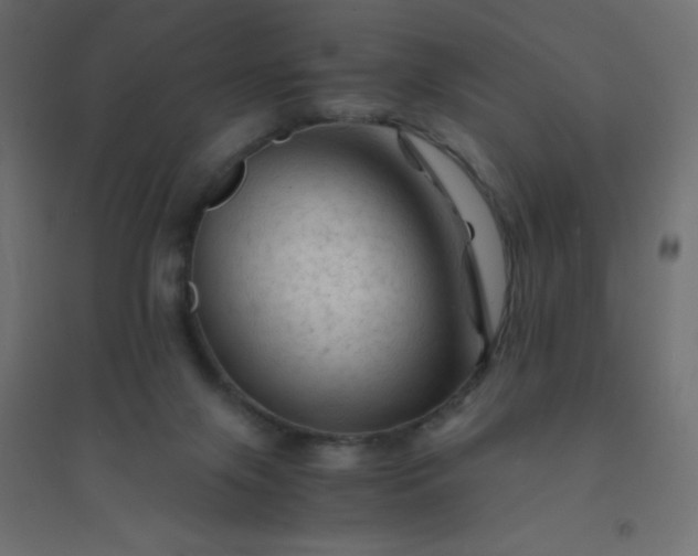 X0000094450071200711211528