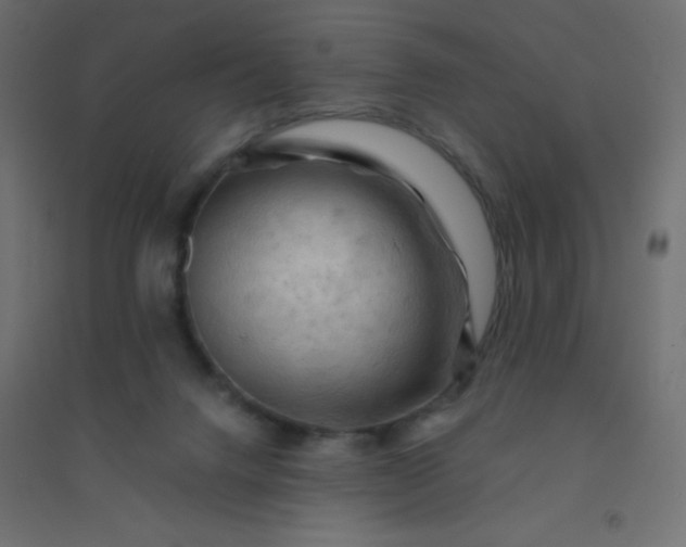 X0000094450072200711211528