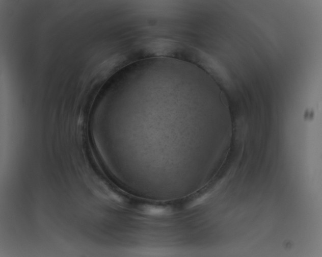 X0000094450073200711211528