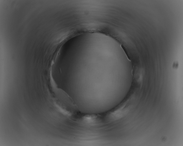 X0000094450076200711211528