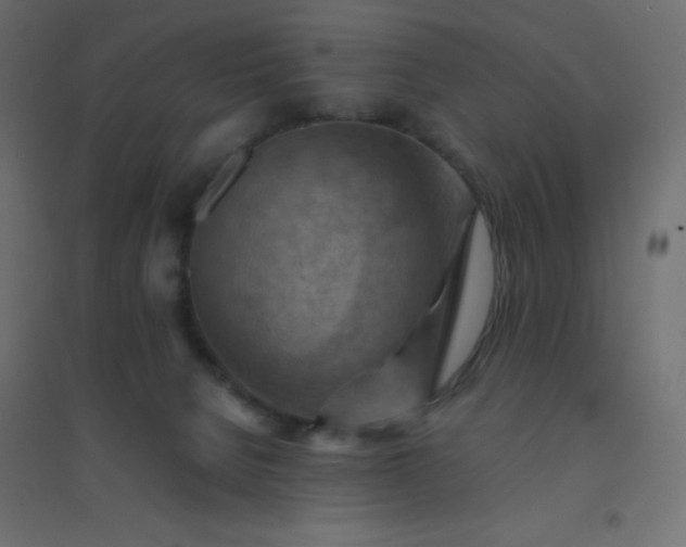 X0000094450080200711211528