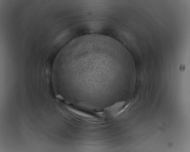 X0000094450082200711211528